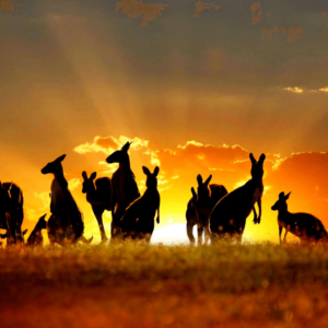 Australia visa application form dubai
