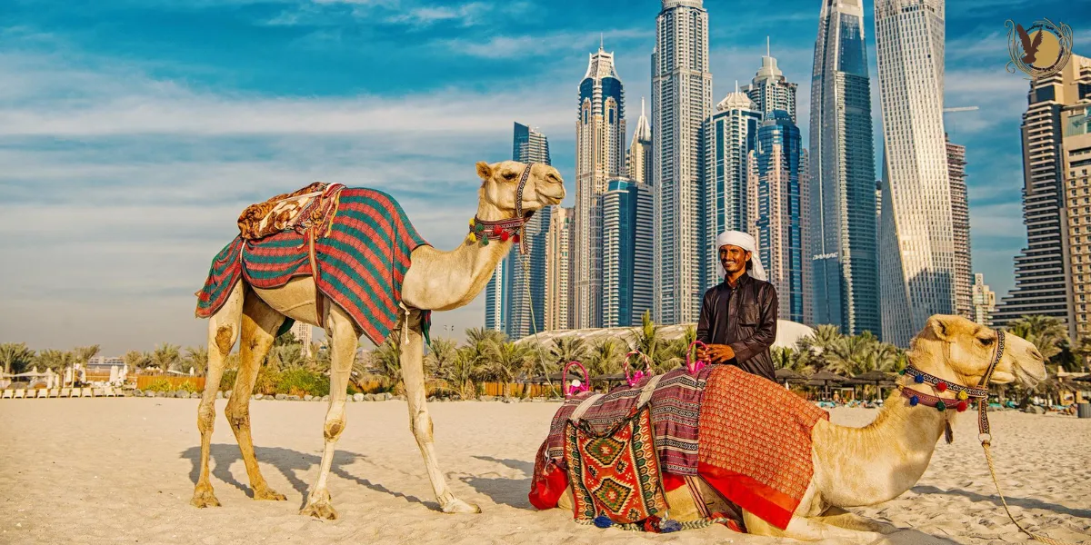 Best Time to Travel from Manila to Dubai