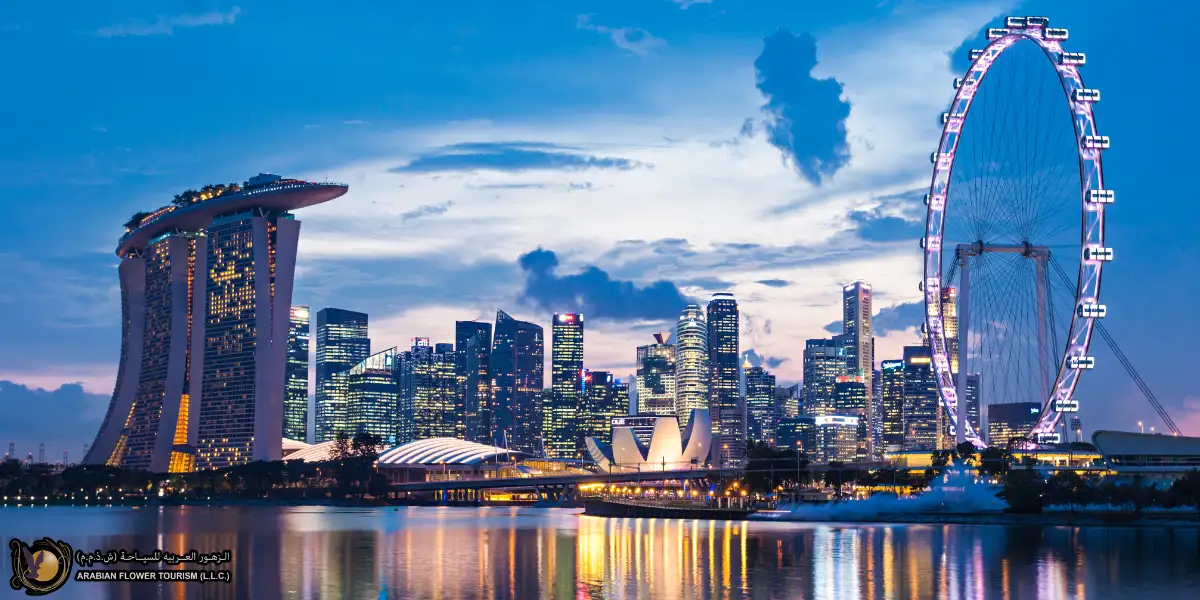 Types of Singapore Visas and Conditions for Obtaining Them